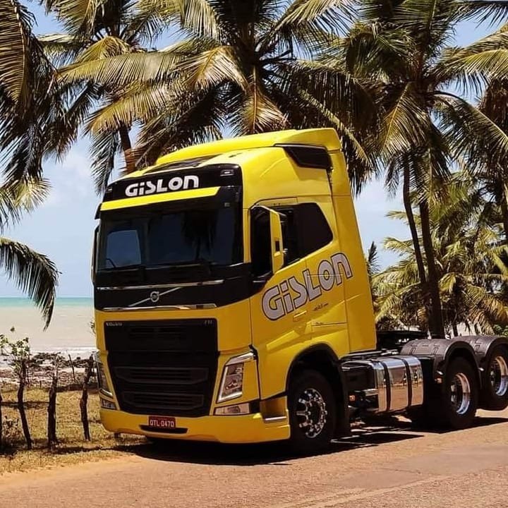 Gislon